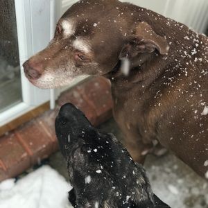 Meet your Posher, Courtenay